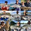 What fish can you catch off the jetty?