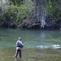 What are the free fishing days for california?