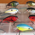 What attracts bass fish the most?