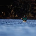 How much is a ticket for fishing without a license in california?