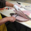 Where can you fish for free in california?
