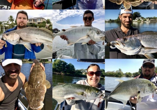 What fish can you catch off the jetty?