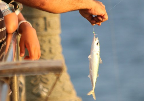 Can i fish in california without a license?